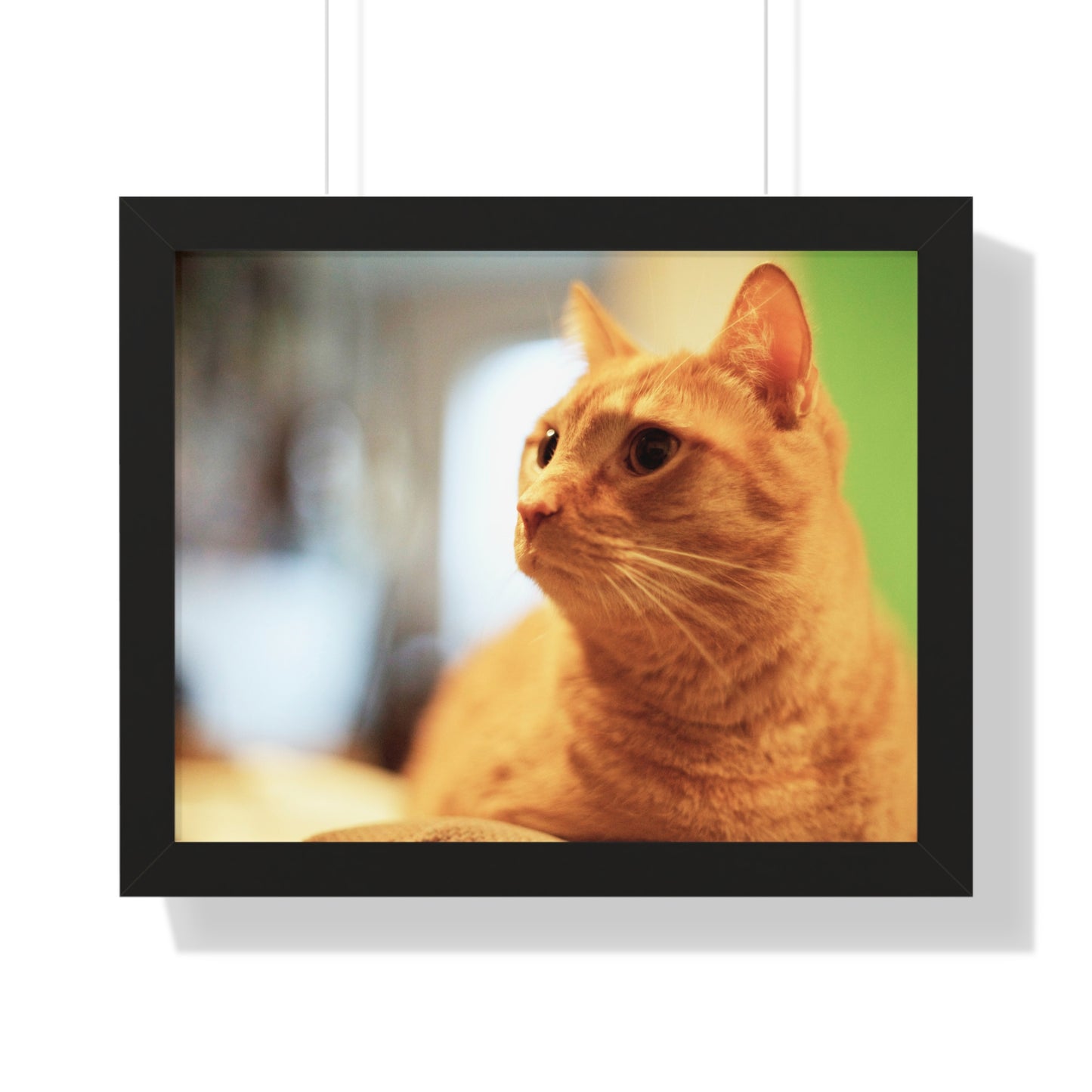 Rory Sitting on a Chair - Framed Horizontal Poster