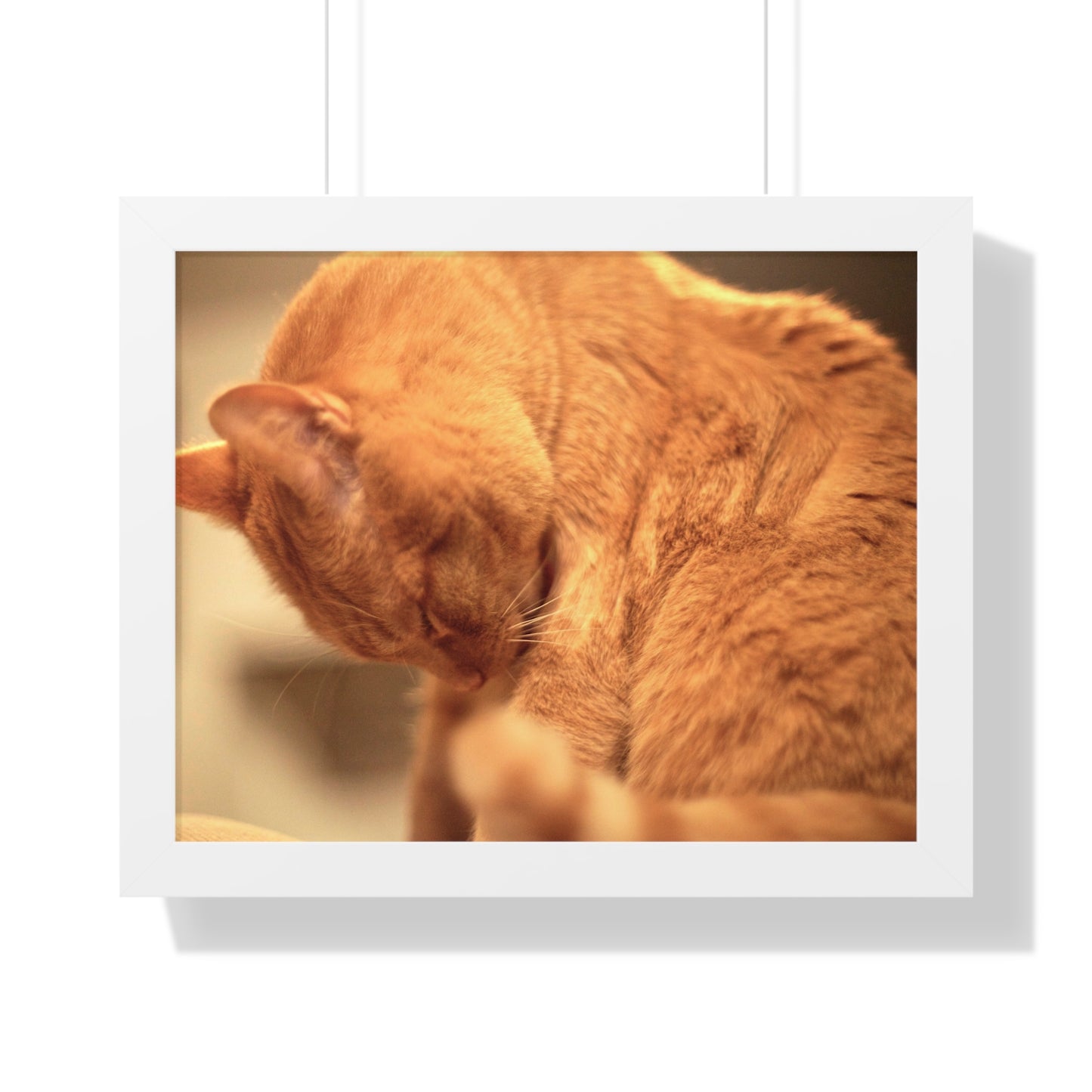 Rory Cleaning Himself - Framed Horizontal Poster