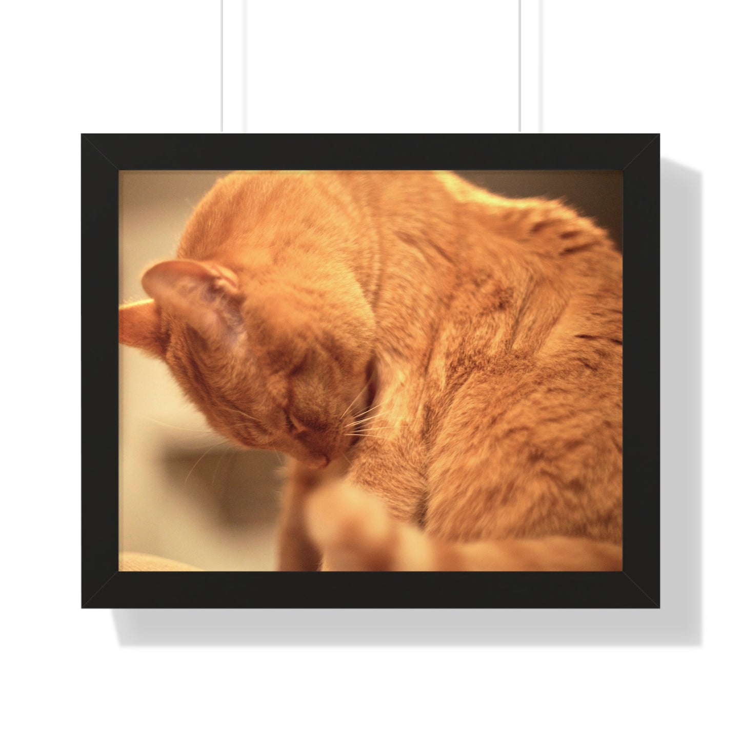 Rory Cleaning Himself - Framed Horizontal Poster