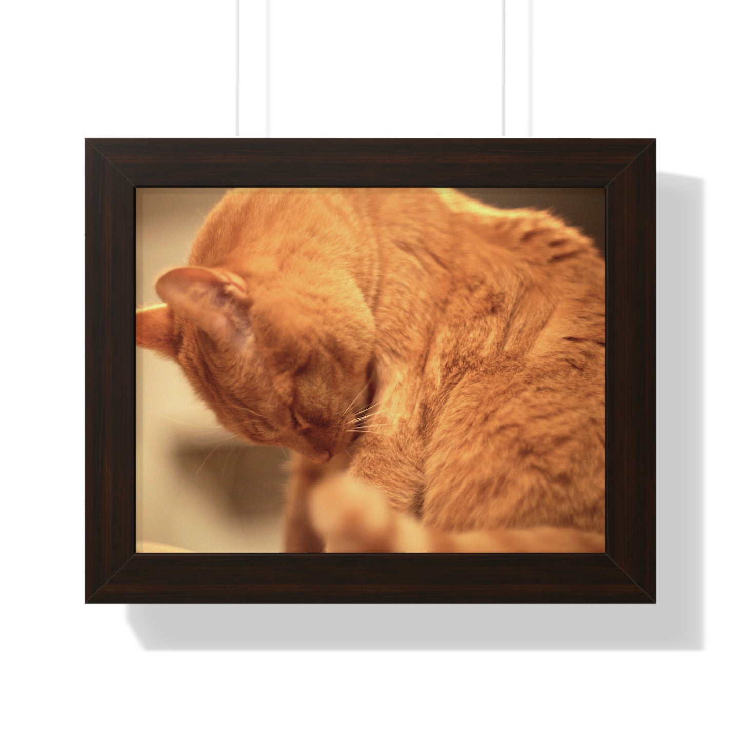 Rory Cleaning Himself - Framed Horizontal Poster