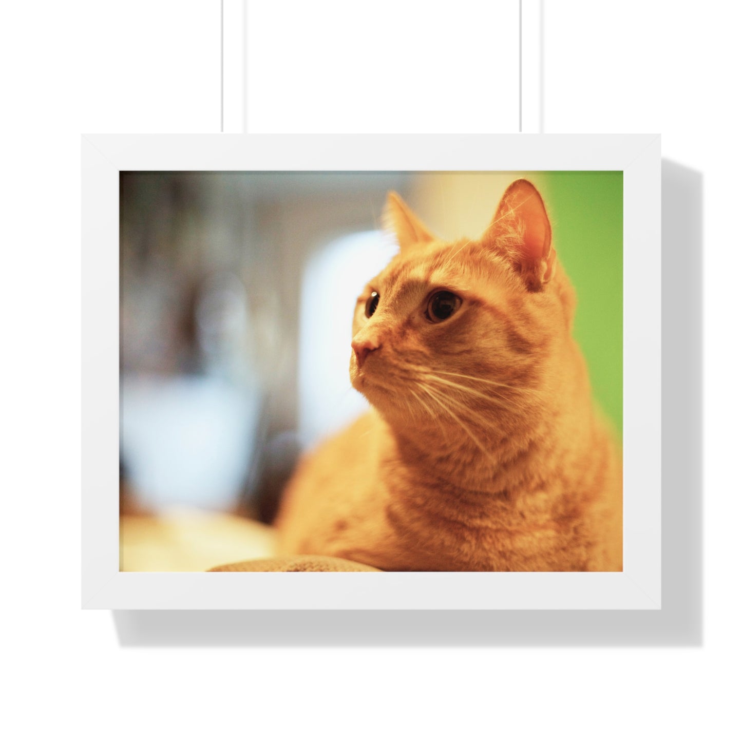 Rory Sitting on a Chair - Framed Horizontal Poster