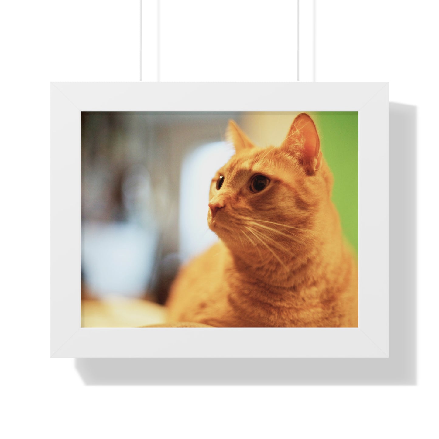 Rory Sitting on a Chair - Framed Horizontal Poster