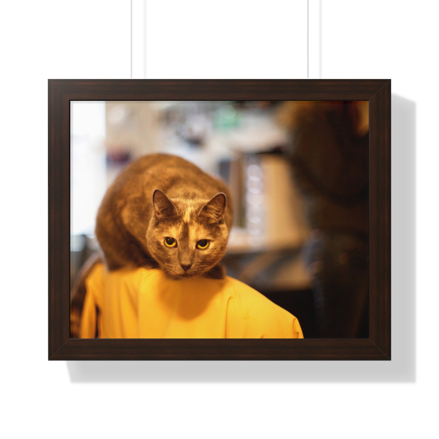 Jean Gray Sitting on a Chair - Framed Horizontal Poster