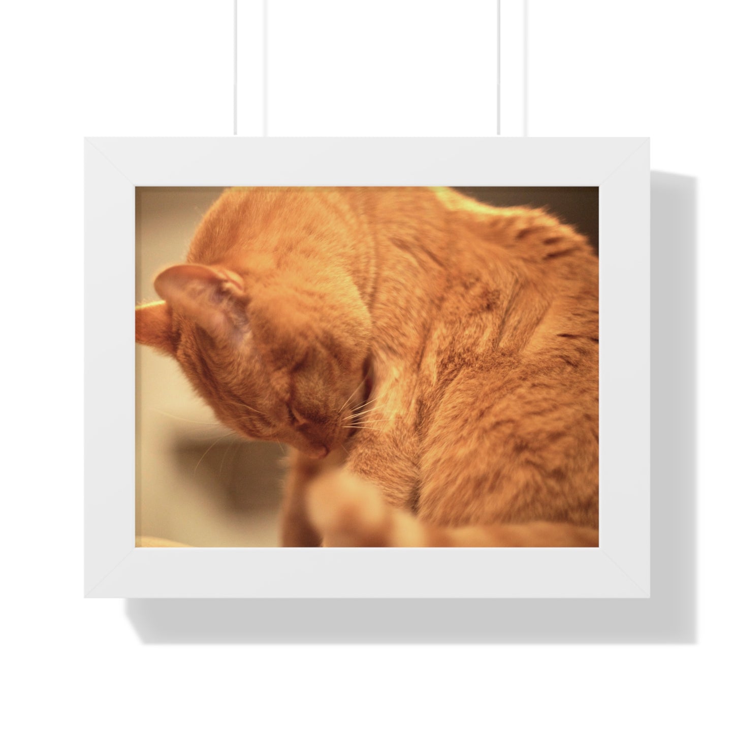 Rory Cleaning Himself - Framed Horizontal Poster