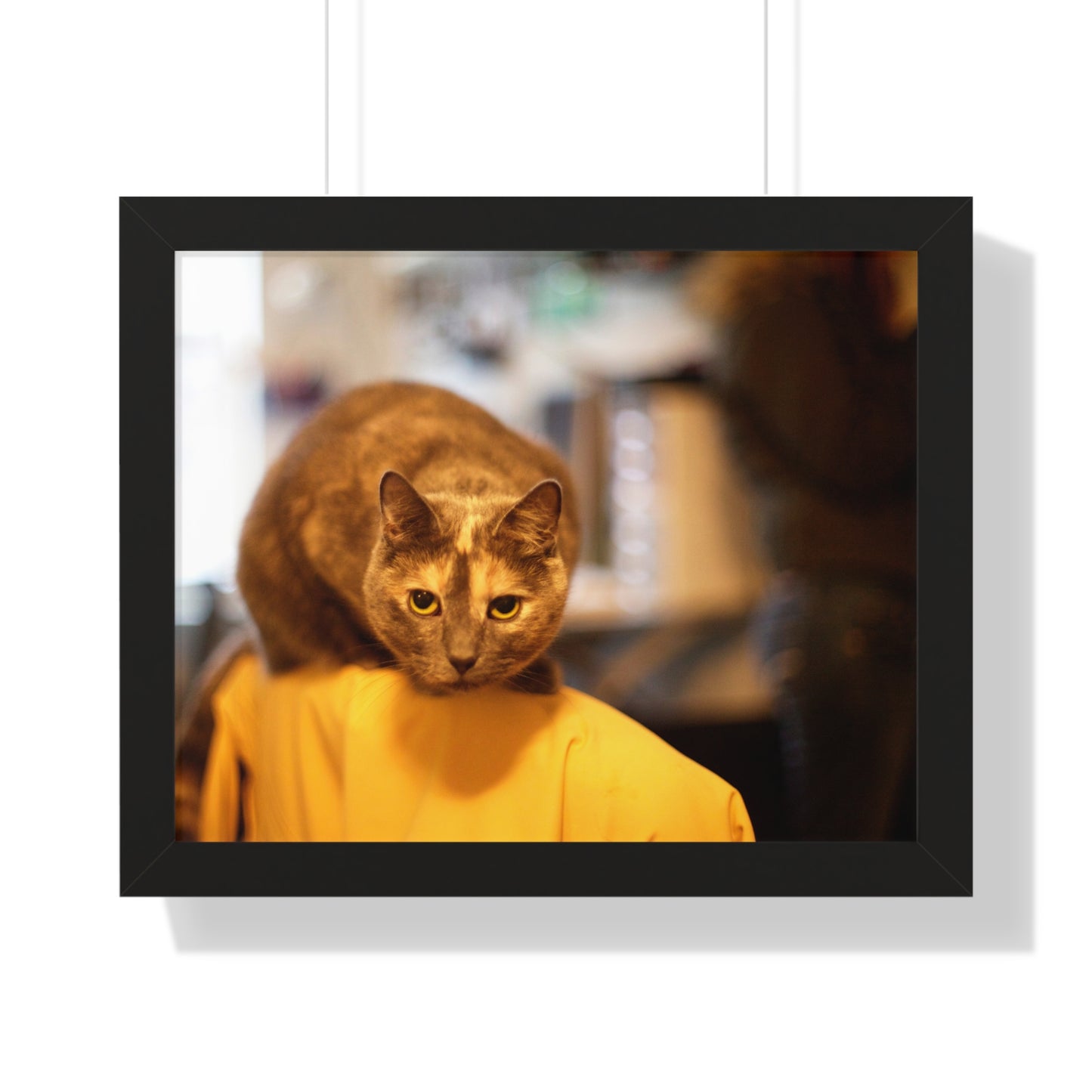 Jean Gray Sitting on a Chair - Framed Horizontal Poster