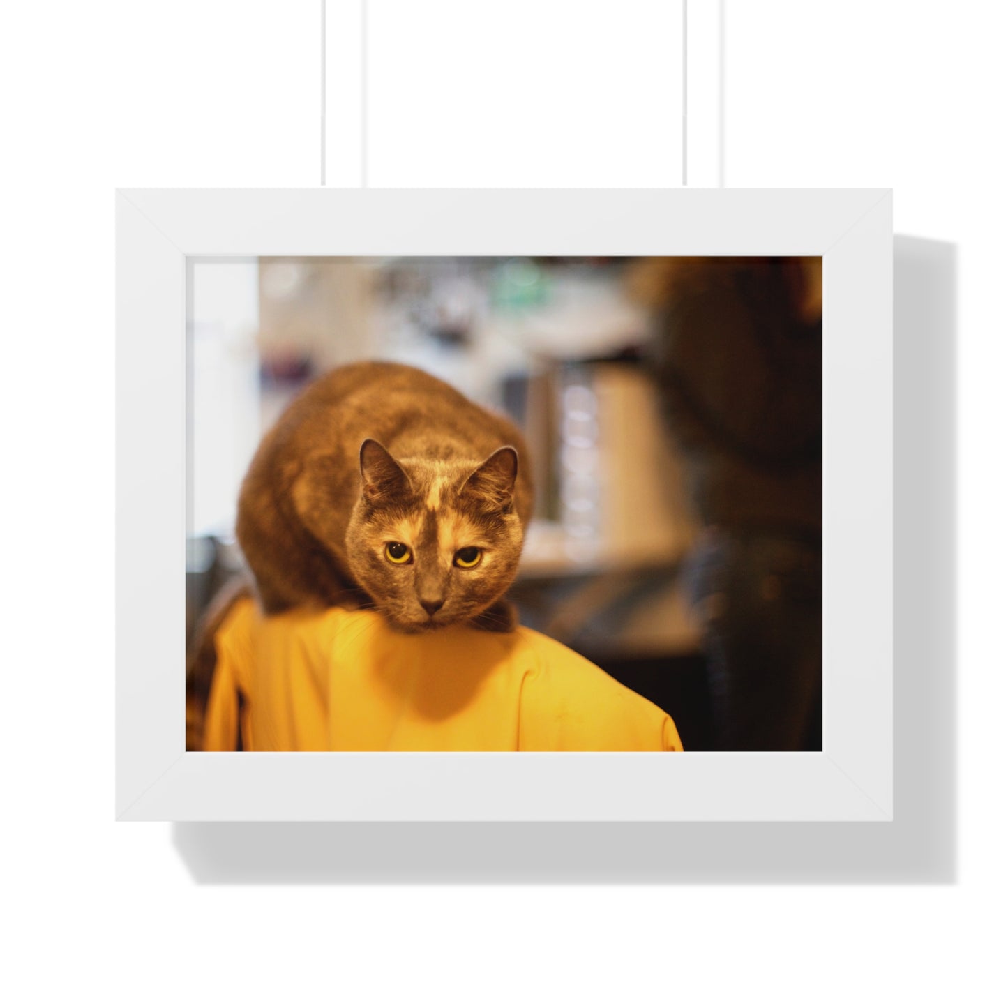 Jean Gray Sitting on a Chair - Framed Horizontal Poster