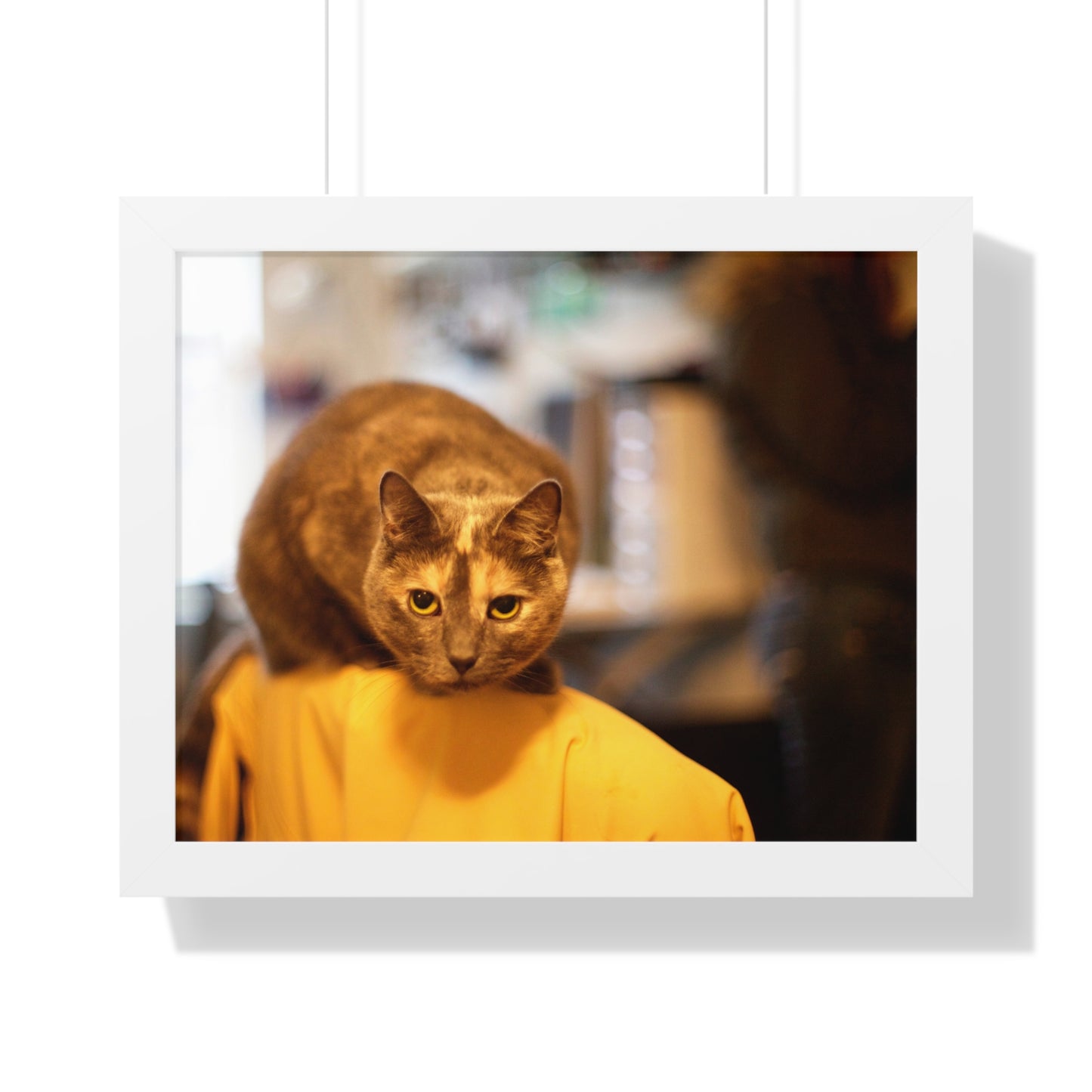 Jean Gray Sitting on a Chair - Framed Horizontal Poster