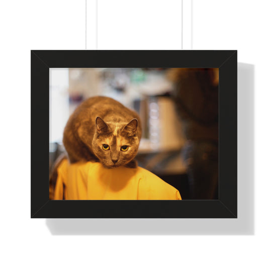 Jean Gray Sitting on a Chair - Framed Horizontal Poster