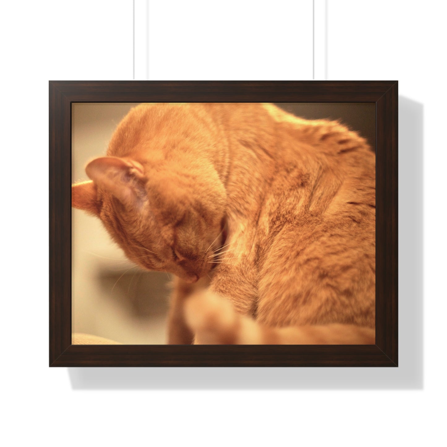 Rory Cleaning Himself - Framed Horizontal Poster