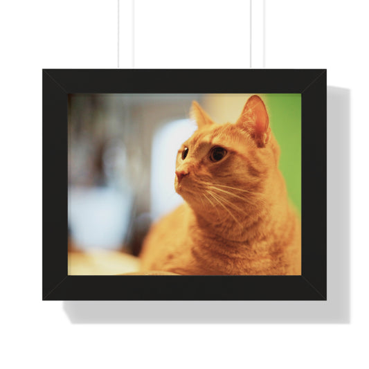 Rory Sitting on a Chair - Framed Horizontal Poster